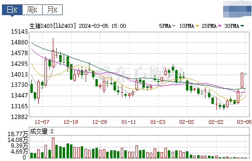 2024.03.06今日猪价