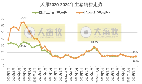 新希望和天邦2024年1-2月生猪销售情况