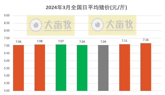 2024.03.07今日猪价