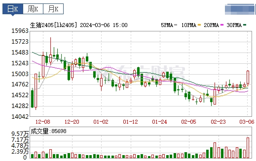 2024.03.07今日猪价