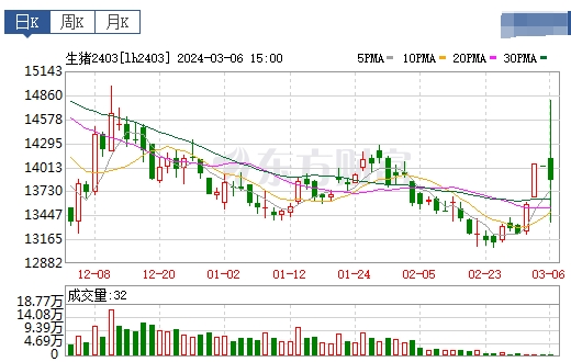 2024.03.07今日猪价
