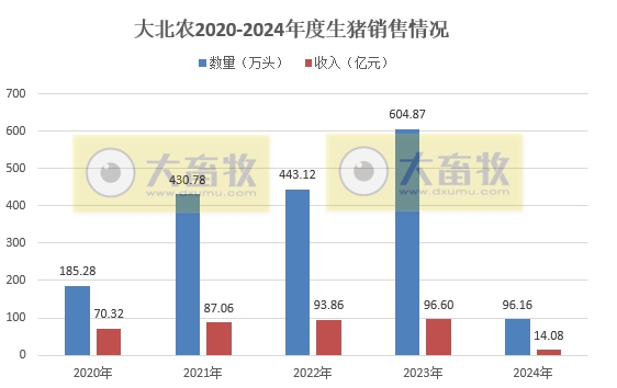 大北农、神农和金新农2024年1-2月生猪销售情况