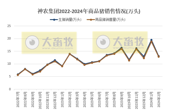 大北农、神农和金新农2024年1-2月生猪销售情况