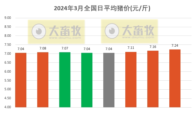 2024.03.08今日猪价