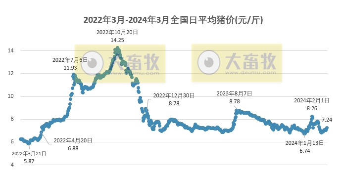 2024.03.08今日猪价