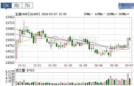 2024.03.08今日猪价