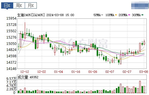 2024.03.09今日猪价