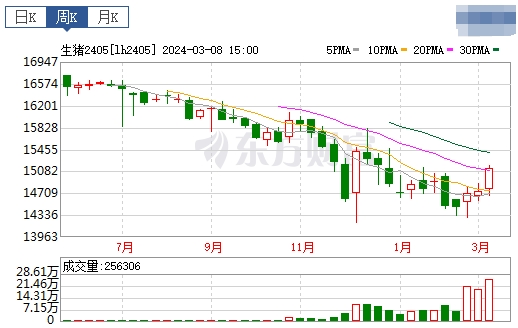 2024.03.10今日猪价