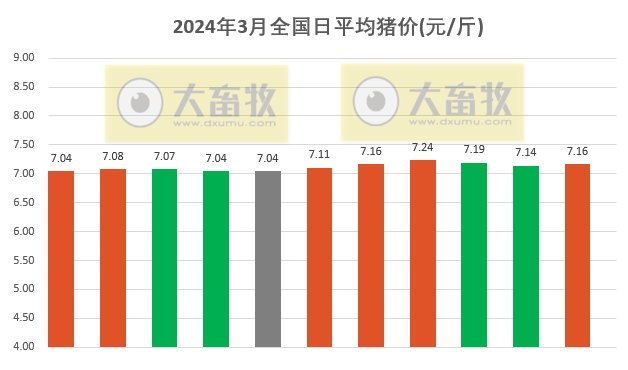2024.03.11今日猪价