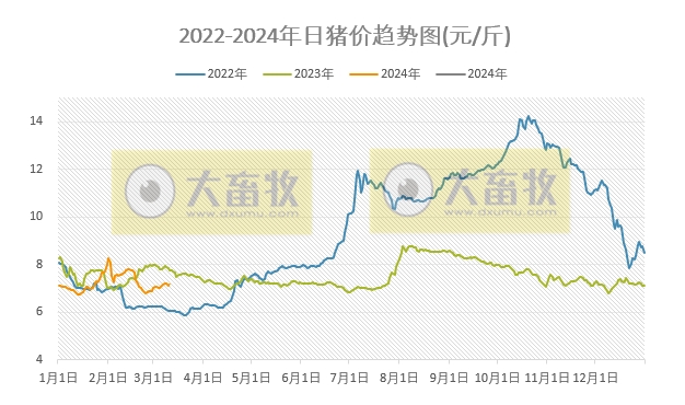 2024.03.11今日猪价