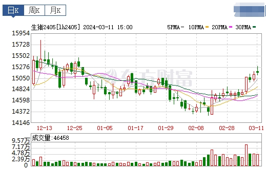 2024.03.12今日猪价