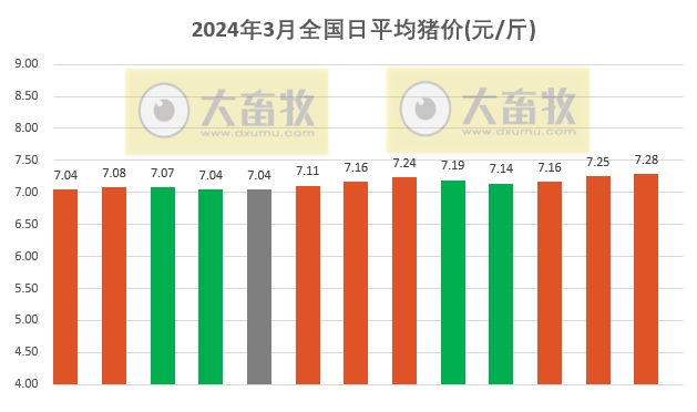 2024.03.13今日猪价