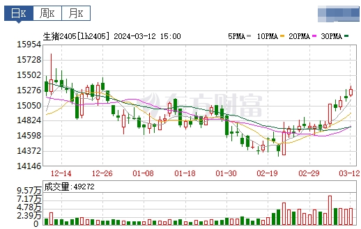 2024.03.13今日猪价