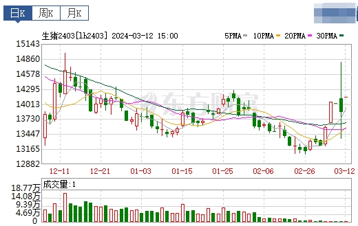 2024.03.13今日猪价