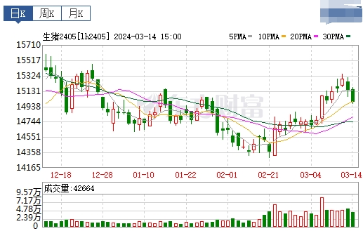 2024.03.15今日猪价