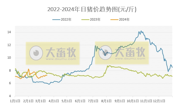 2024.03.16今日猪价