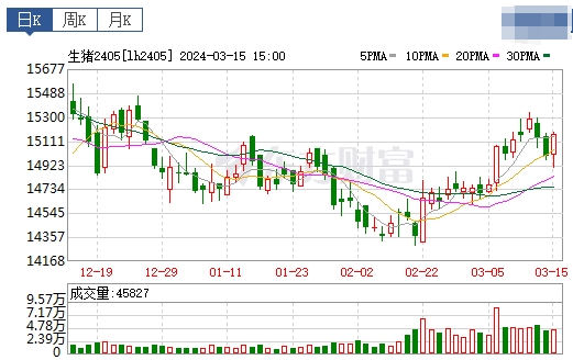 2024.03.16今日猪价