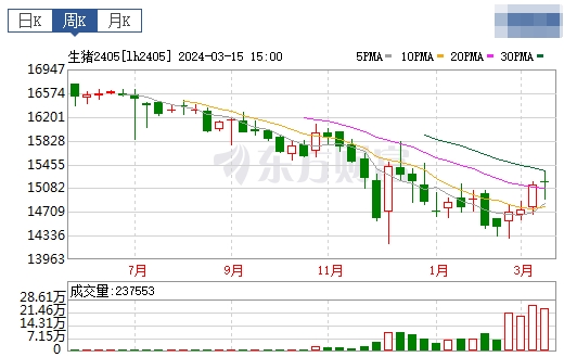 2024.03.17今日猪价