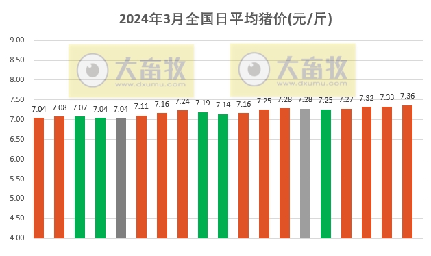 2024.03.19今日猪价