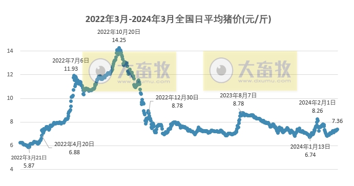2024.03.19今日猪价