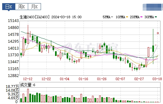 2024.03.19今日猪价