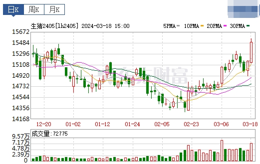 2024.03.19今日猪价