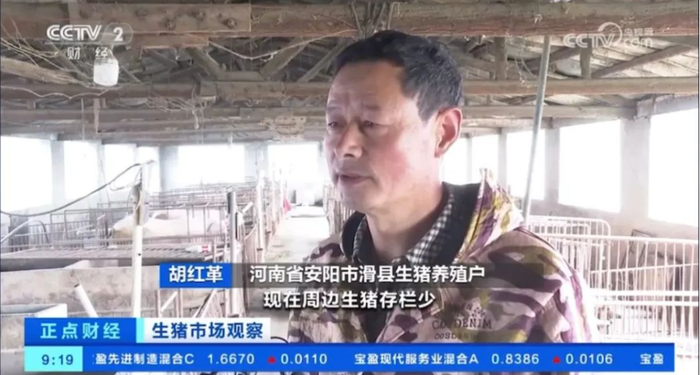 2月能繁母猪存栏量4042万头同环比均下降,专家称二季度猪价有望回升向好