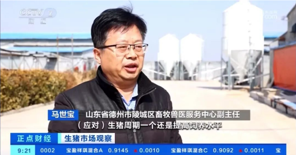 2月能繁母猪存栏量4042万头同环比均下降,专家称二季度猪价有望回升向好