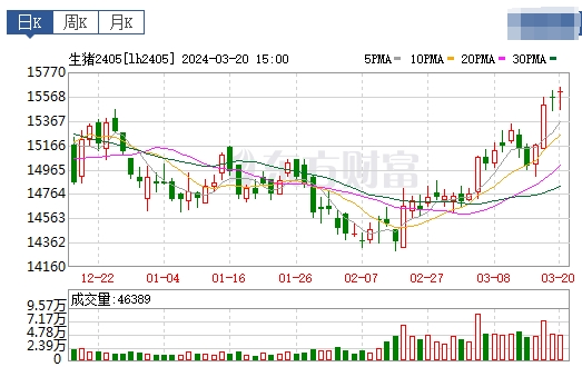 2024.03.21今日猪价——猪价连涨6天,且出现全面上涨,5省突破8元