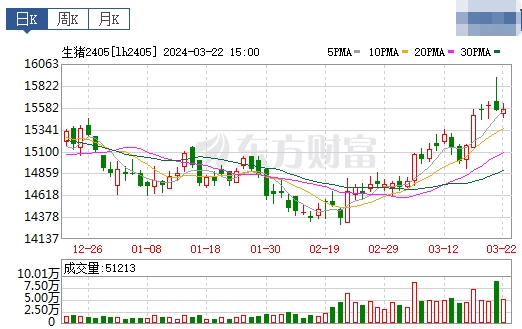2024.03.23今日猪价——过半省份出现下跌，唯独1省上涨