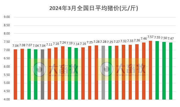 2024.03.24今日猪价——猪价连跌3天，华南出现全面下跌