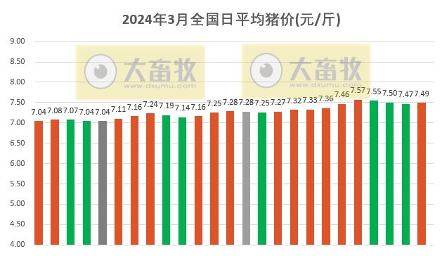 2024.03.25今日猪价——猪价止跌反弹