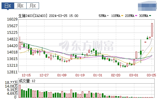 2024.03.26今日猪价——大多数出现上涨
