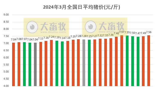 2024.03.26今日猪价——大多数出现上涨