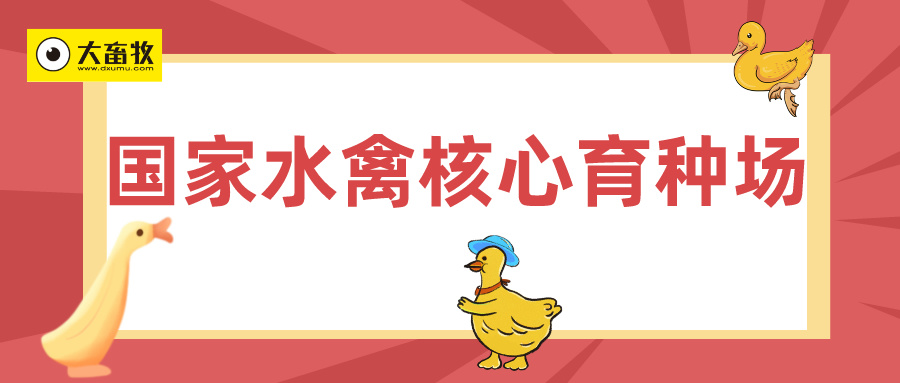 最新国家水禽核心育种场名单（2024年）