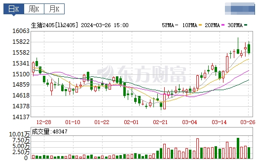 2024.03.27今日猪价——继续飘红，广东涨至8.4元