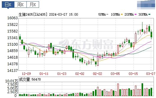 2024.03.28今日猪价——稳中有涨,广东上涨至8.5元