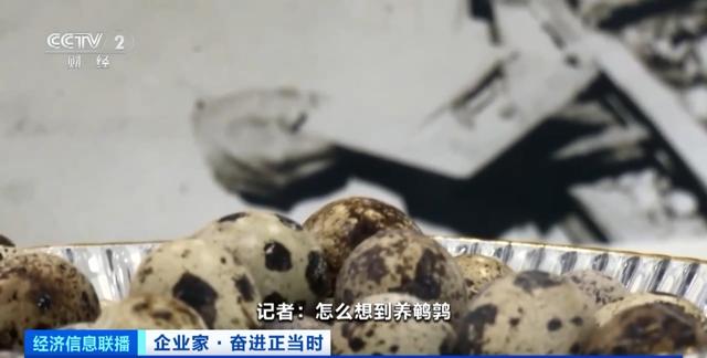 猪价长期处在低位，卖一头亏一头，新希望集团董事长刘永好表示不焦虑