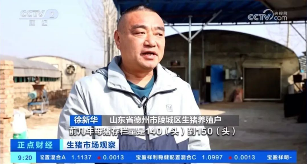 2月能繁母猪存栏量4042万头同环比均下降,专家称二季度猪价有望回升向好