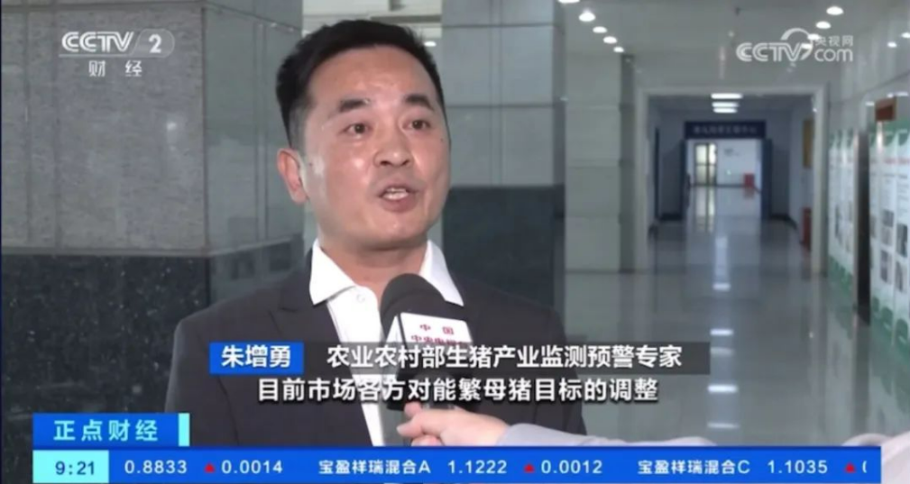 2月能繁母猪存栏量4042万头同环比均下降,专家称二季度猪价有望回升向好