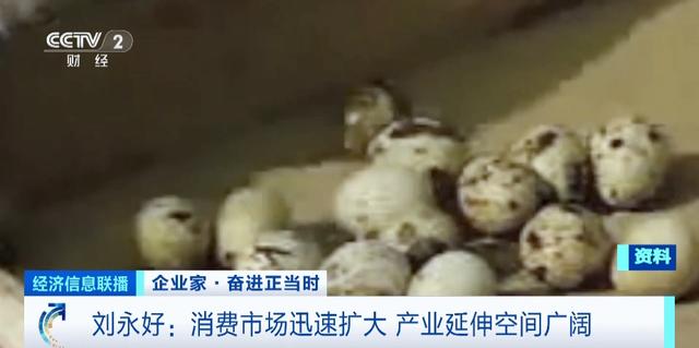 猪价长期处在低位，卖一头亏一头，新希望集团董事长刘永好表示不焦虑