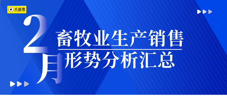 2024年2月畜牧业生产销售形势分析汇总