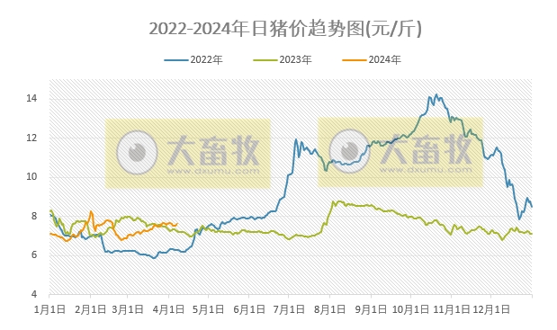 2024.04.07今日猪价——一路飘红