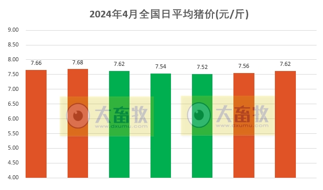 2024.04.07今日猪价——一路飘红