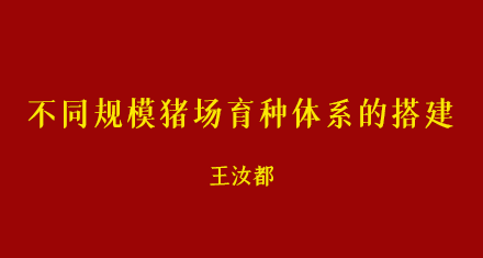 王汝都：不同规模猪场育种体系的搭建