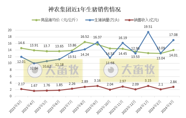 神农和东瑞2024年3月及1季度生猪销售情况