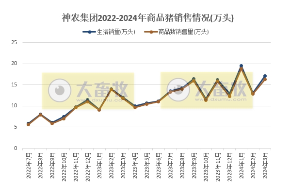 神农和东瑞2024年3月及1季度生猪销售情况