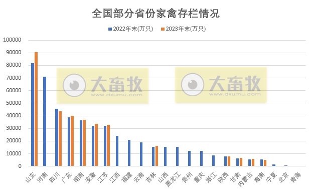 全国各省2023年度家禽数据汇总