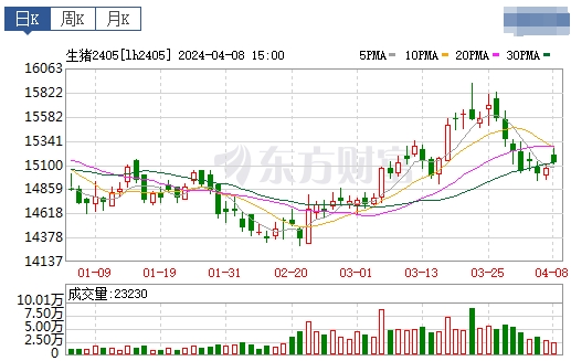 2024.04.09今日猪价——止涨回落,东北西北出现全面下跌