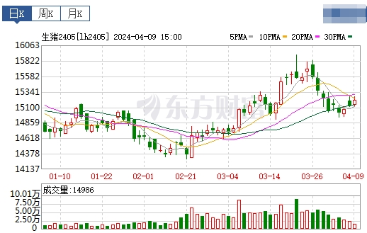 2024.04.10今日猪价——涨跌互现，东北继续全面下跌